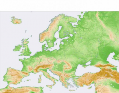 Right Radius & Ulna (A&P 1) Quiz