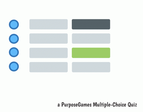 Choose Question Game Choose the right answer. Quiz