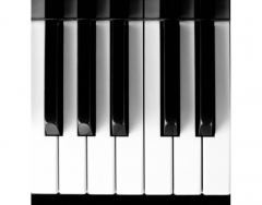 Keys of the piano