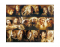 “The Lord of the Rings” Characters