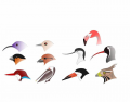 Bird Beaks: Adaptations for Feeding