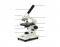The Compound Microscope