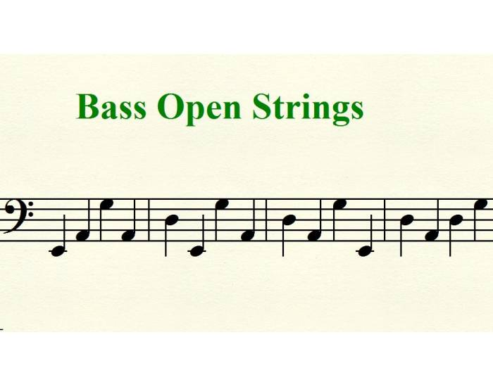 Bass Open String Notes Quiz