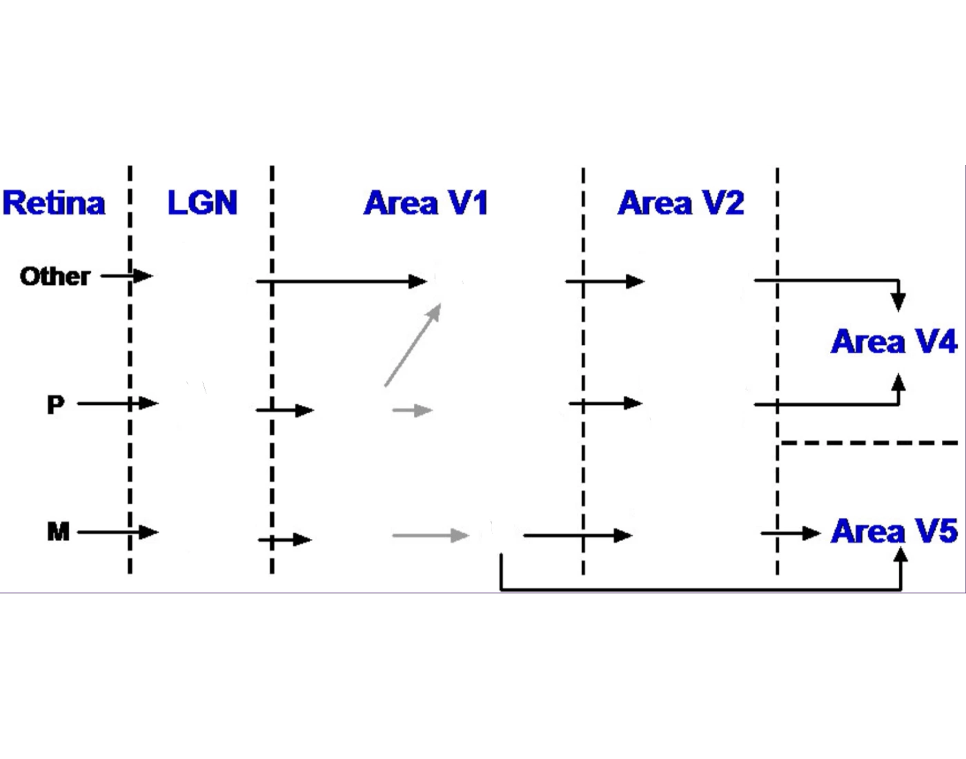 Program Area Visual Visual Area Chart — Printable Worksheet