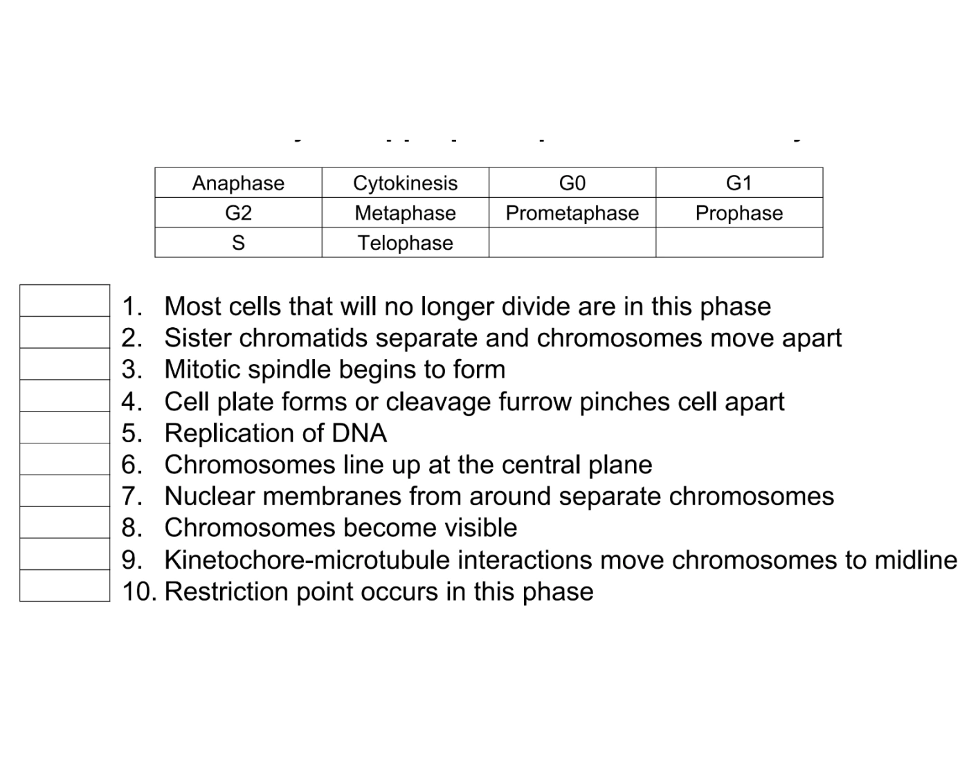Phases of Cell Cycle Quiz Biology Diagrams