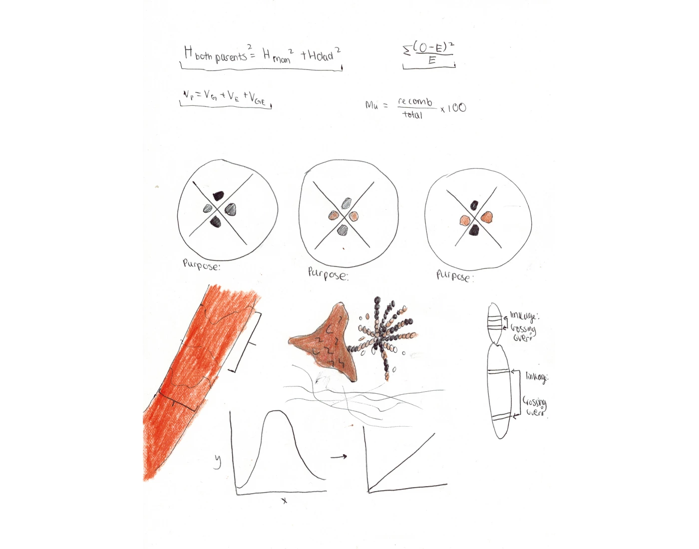 Laboratory Overview Quiz