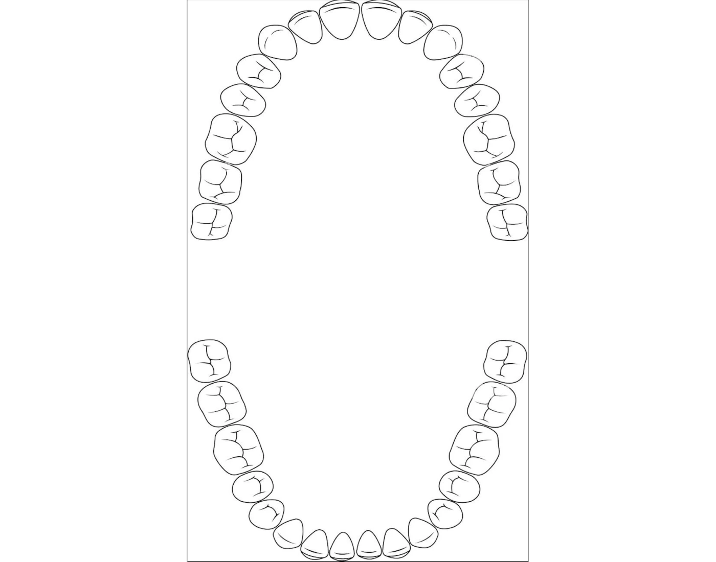 Tooth Numbers Activity Universal Tooth Numbering System — Printable Worksheet