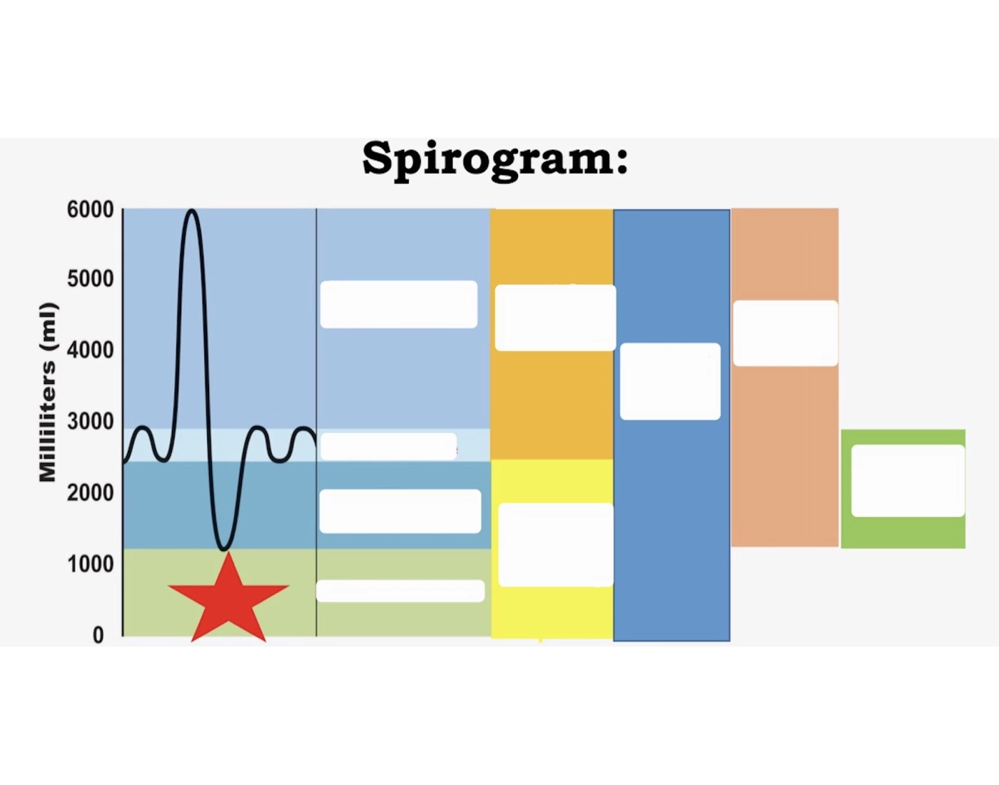 Spirogram Labeling — Printable Worksheet