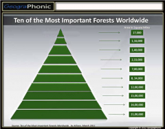 Most Important Forests Worldwide