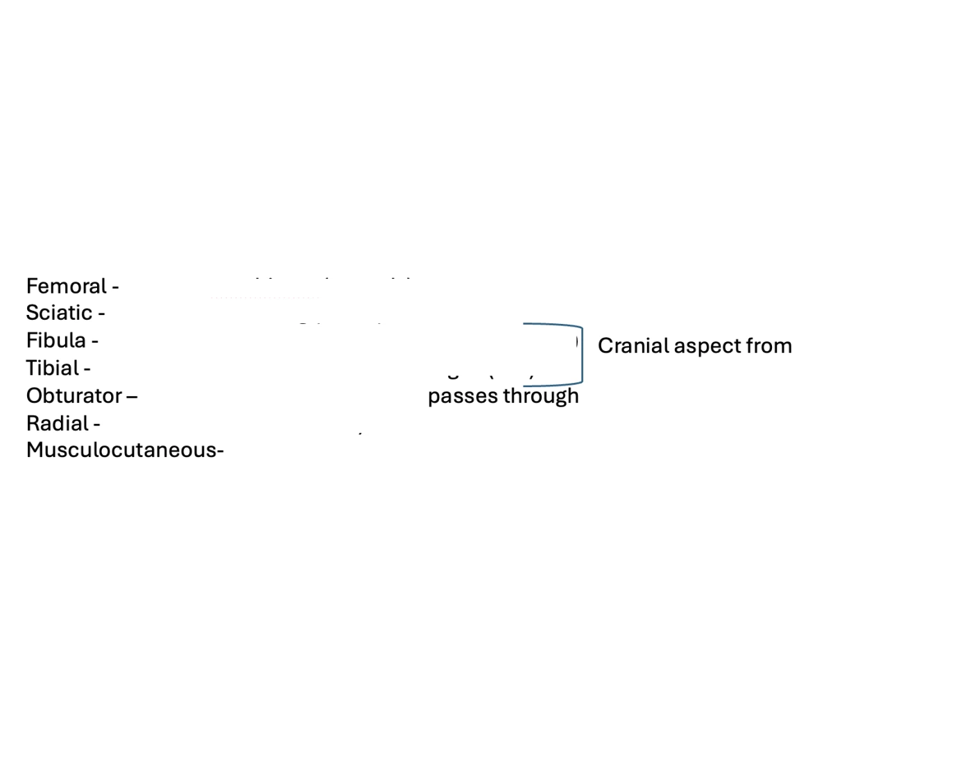 muscles flexors and extensors Printable Worksheet Biology Diagrams