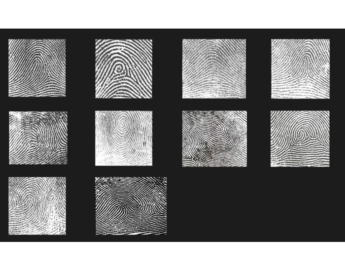 Fingerprint patterns — Printable Worksheet
