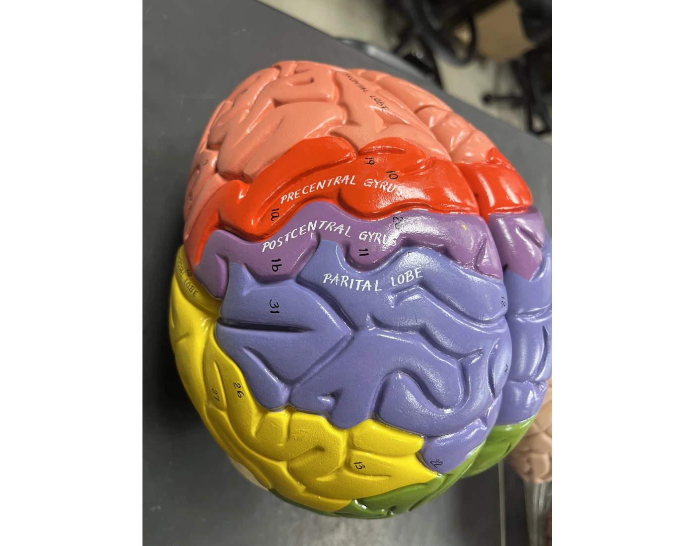 Additional Image