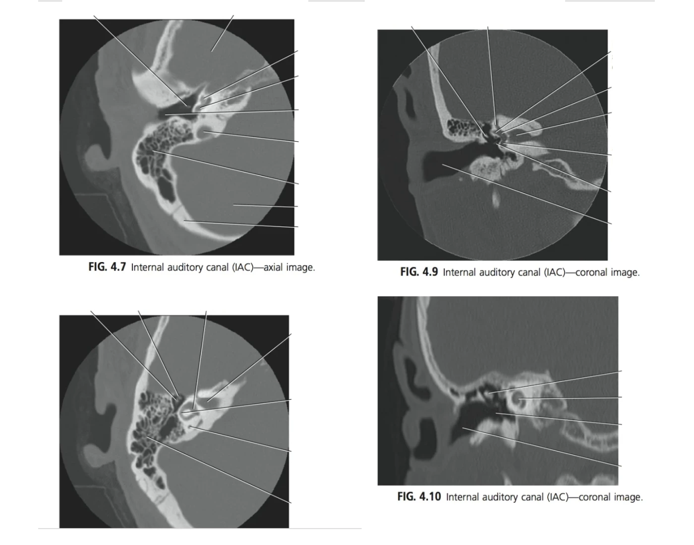IAC — Printable Worksheet