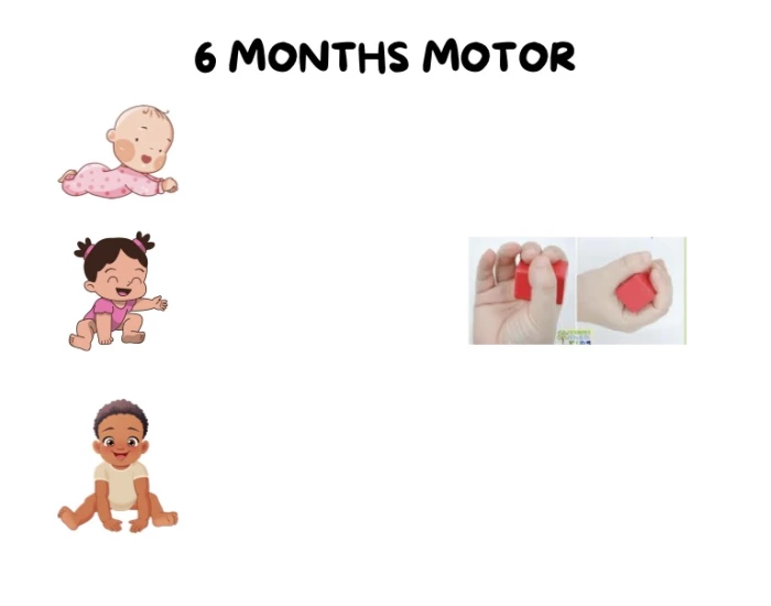 6 Month Motor Developmental Milestones Quiz