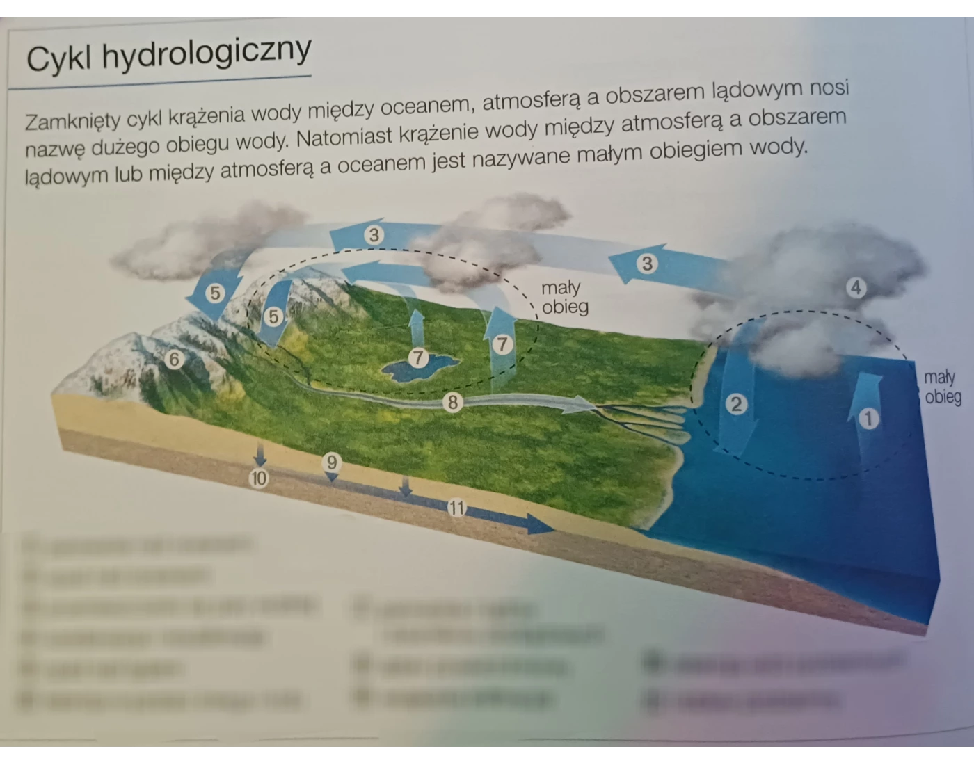 Cykl hydrologiczny - nazwenictwo Quiz