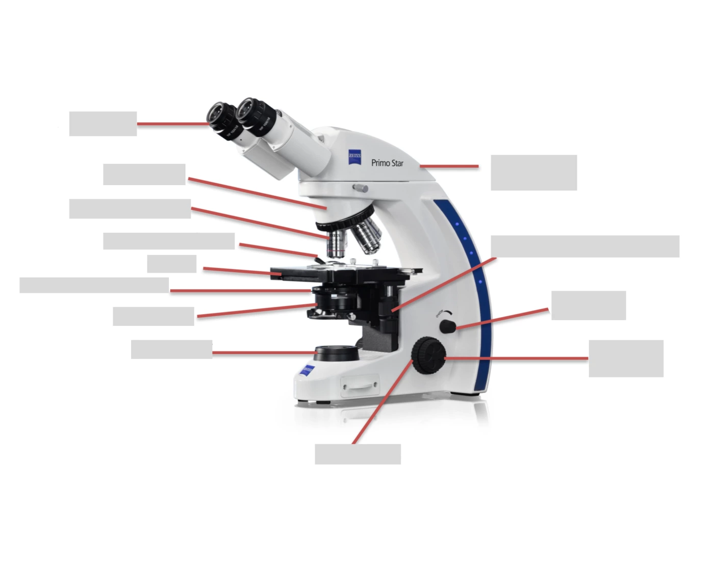 Parts of the Microscope - Functions Quiz