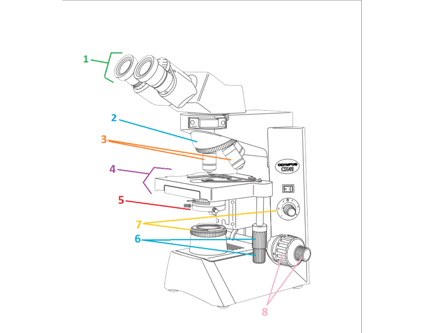 Microscope Parts Quiz Label Parts of Microscope Quiz