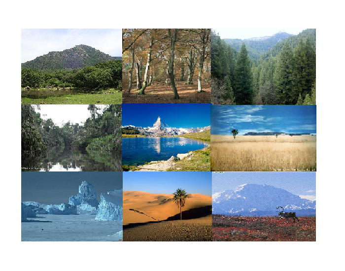 Types of Landscape Quiz