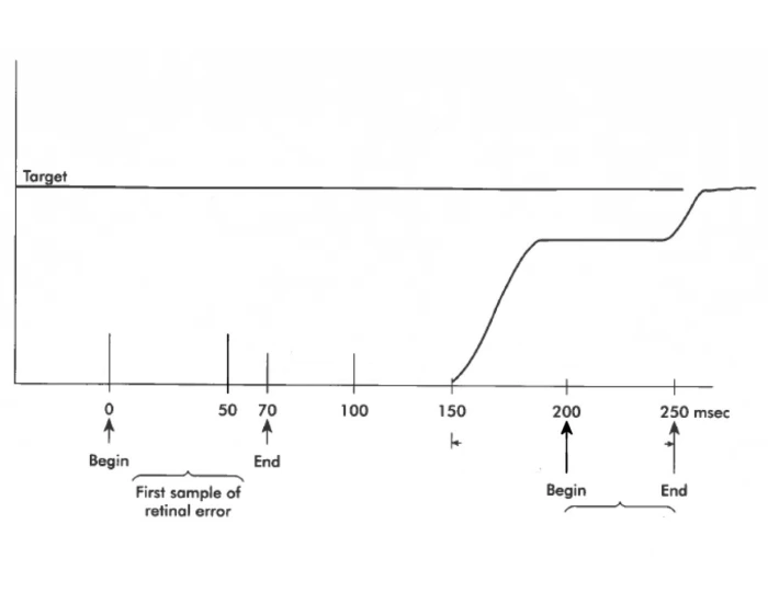 Saccade Latency Graph Printable Worksheet