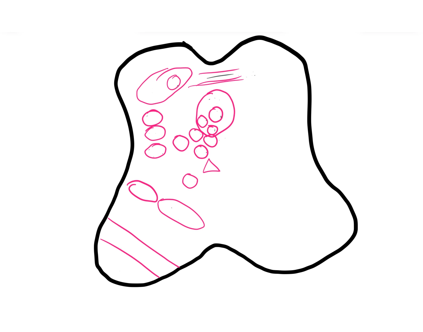 Full midbrain structures Quiz