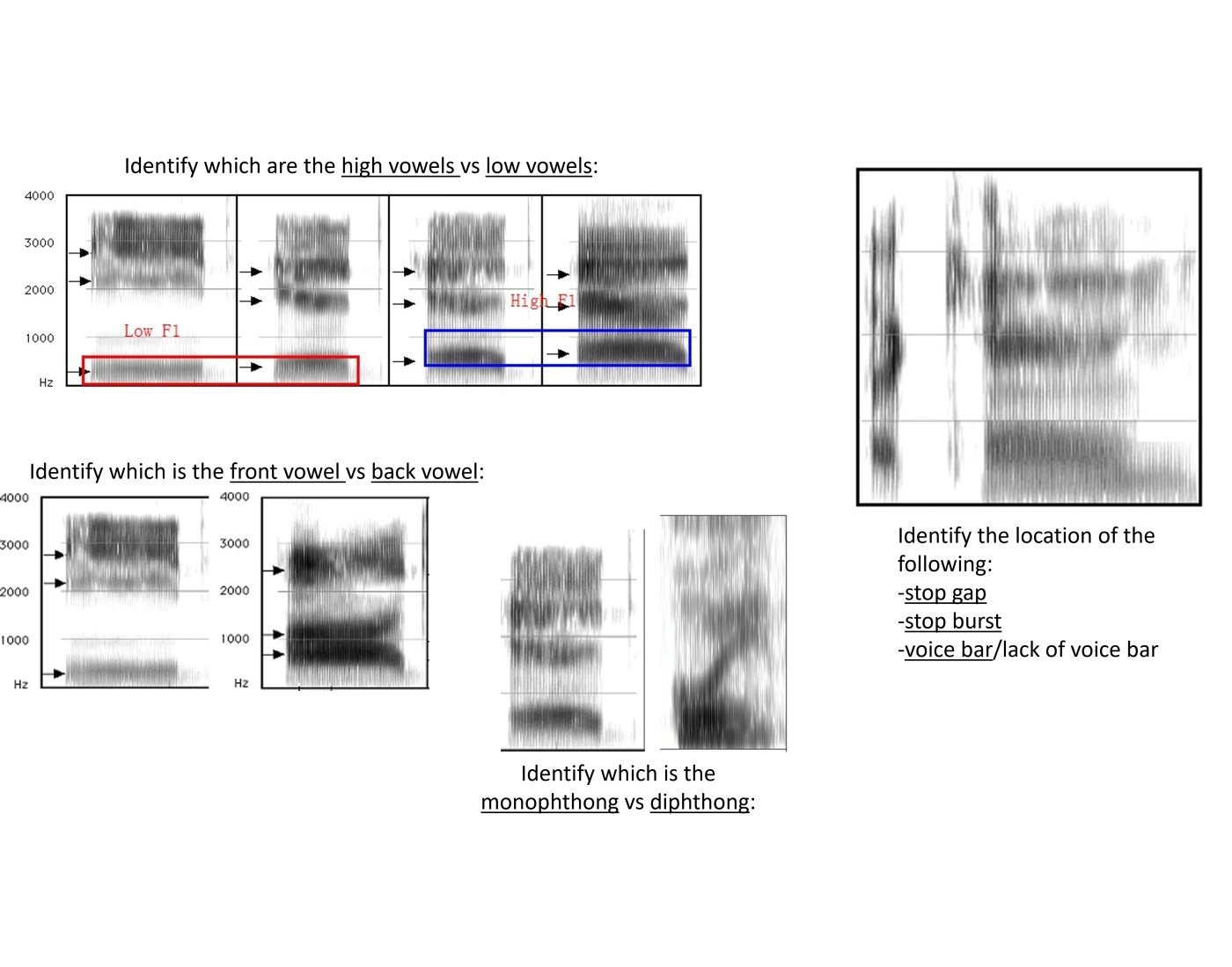 Spectrograms Quiz