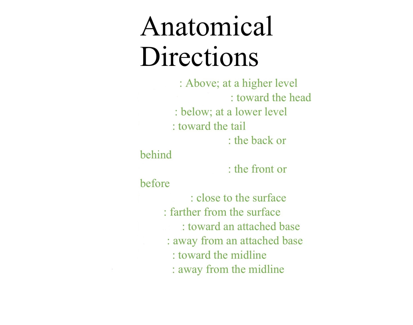 Anatomical Directions Quiz