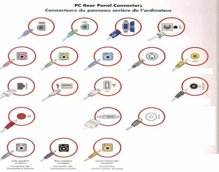 PC Rear Panel Connectors Quiz