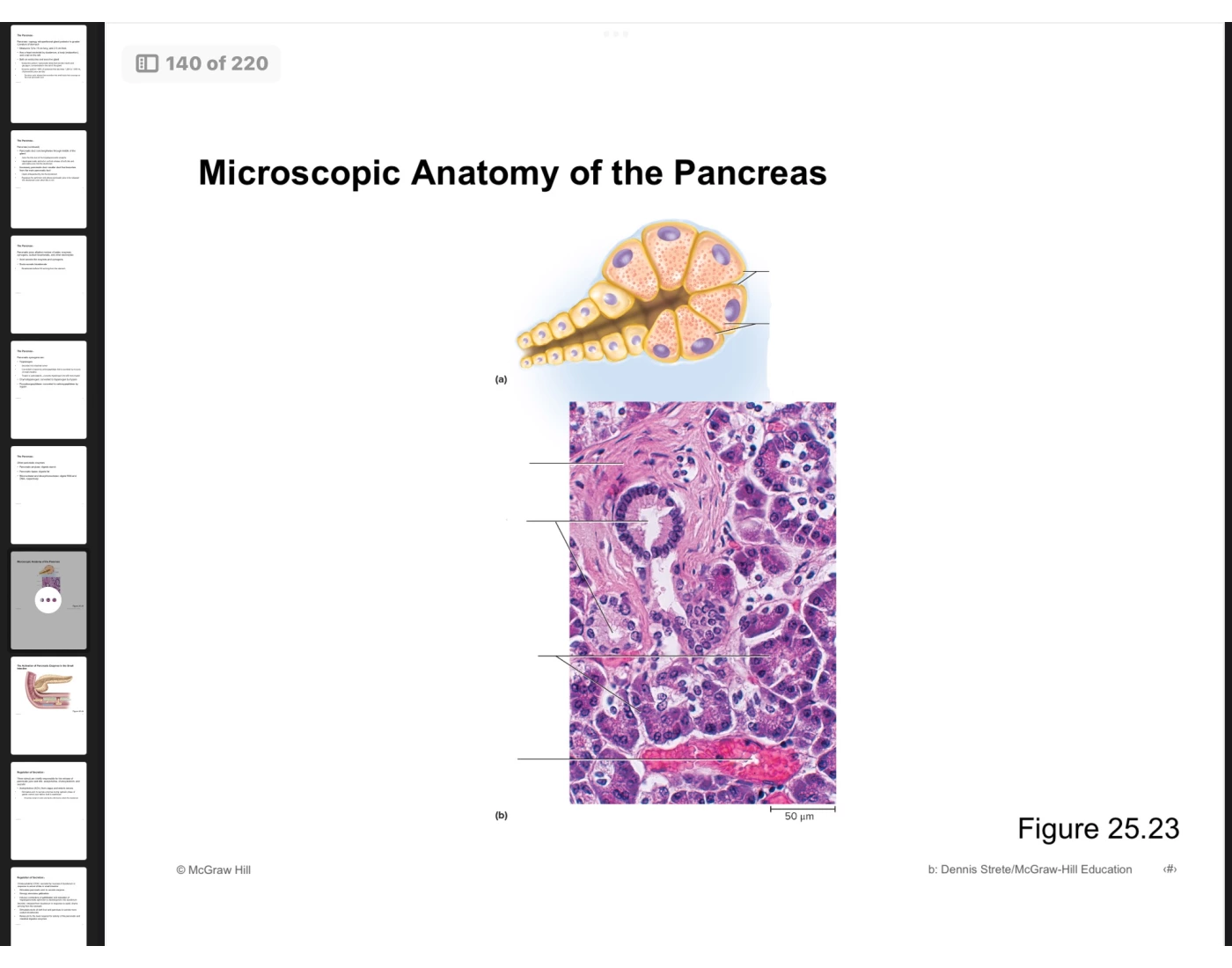Microscopic anatomy of the pancreas Quiz