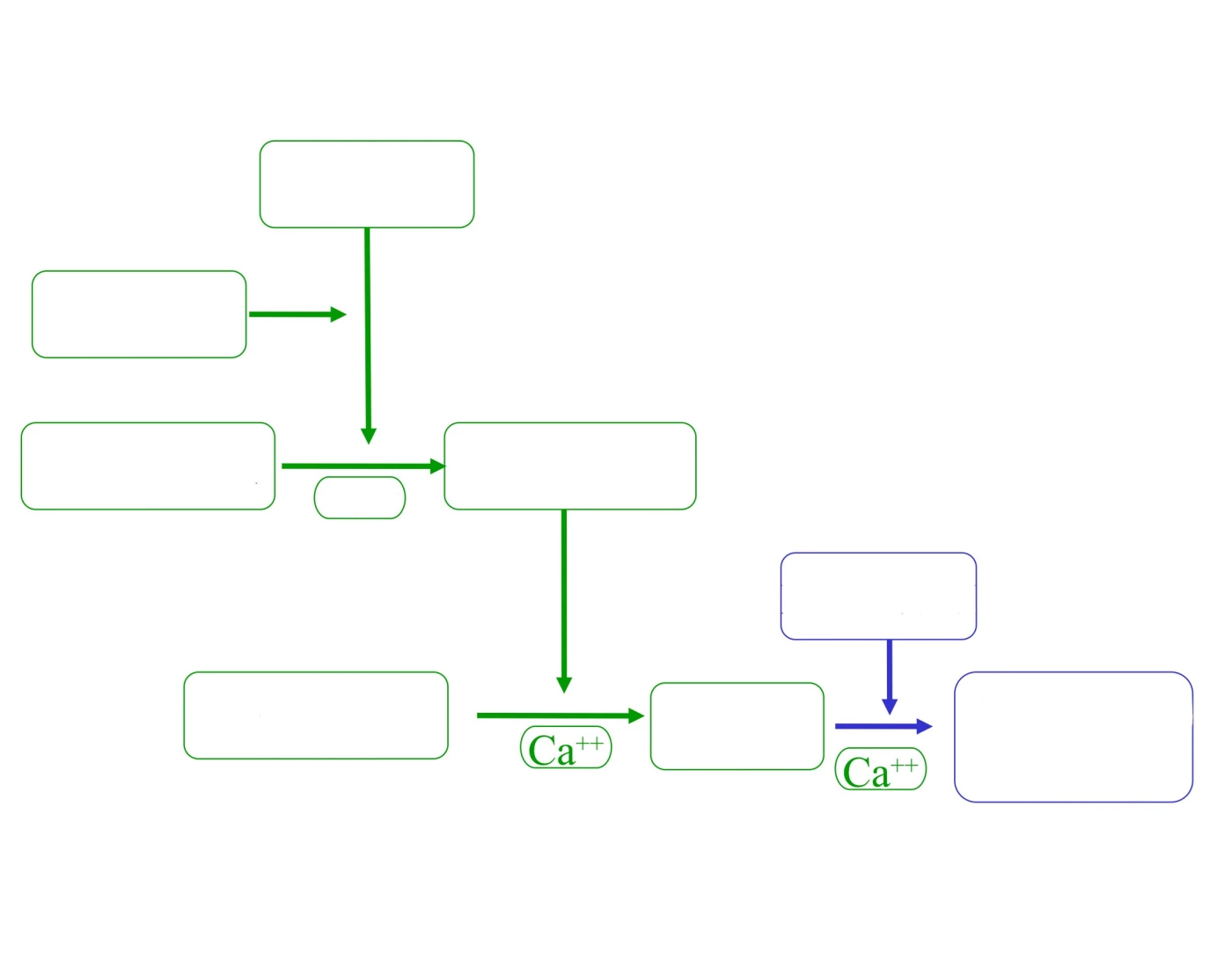 Common pathway Quiz