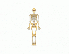 Los Huesos 