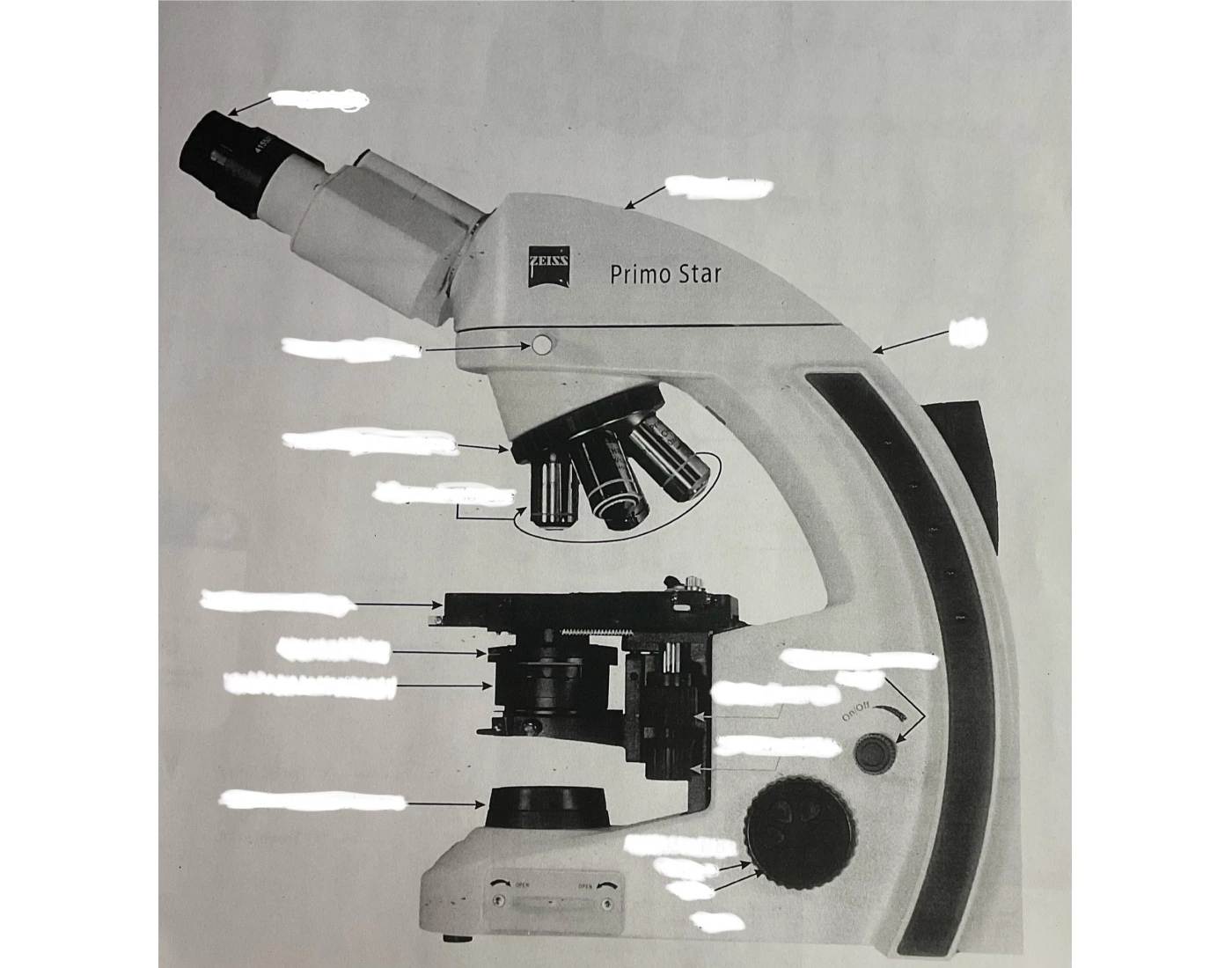 Identify Microscope Parts Quiz