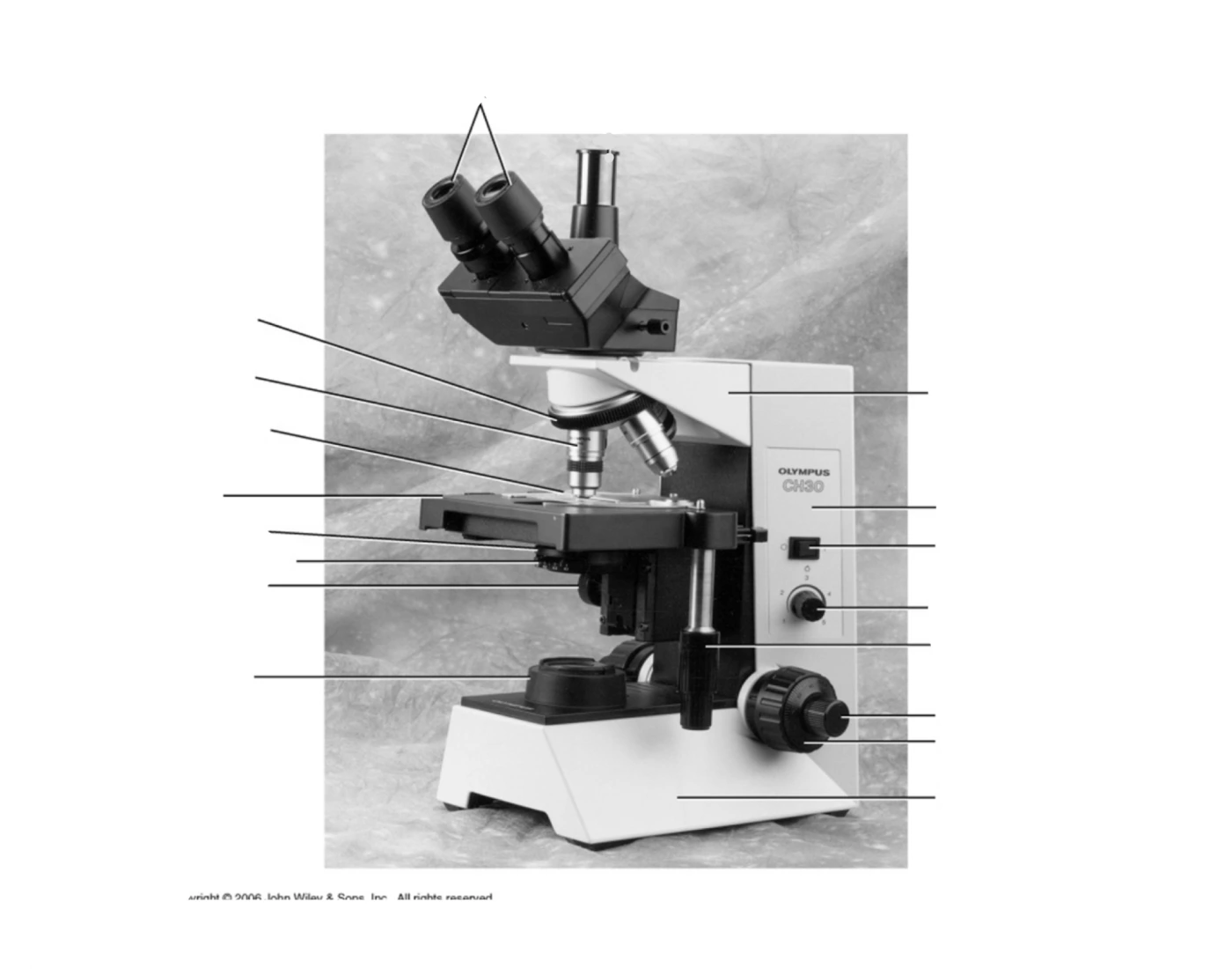 Compound Microscope Exam Compound Microscope Quiz