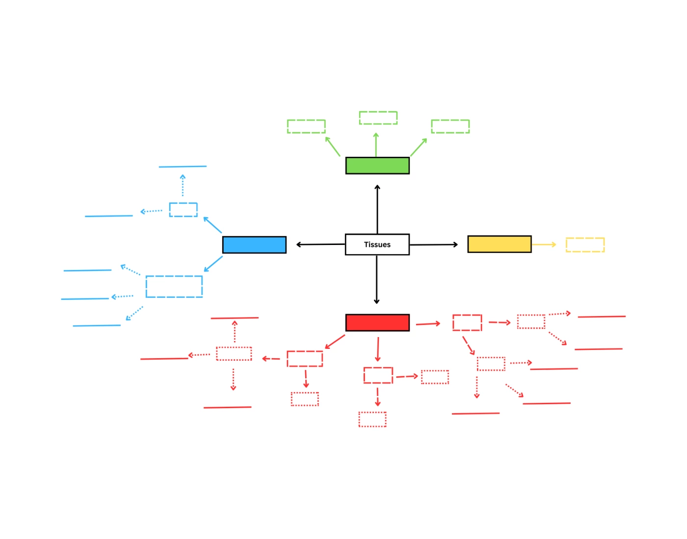 tissue map — Printable Worksheet