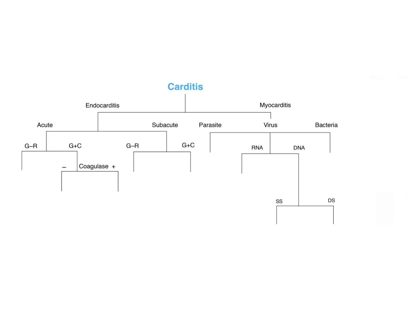Carditis Cheese Carditis Flowchart Quiz