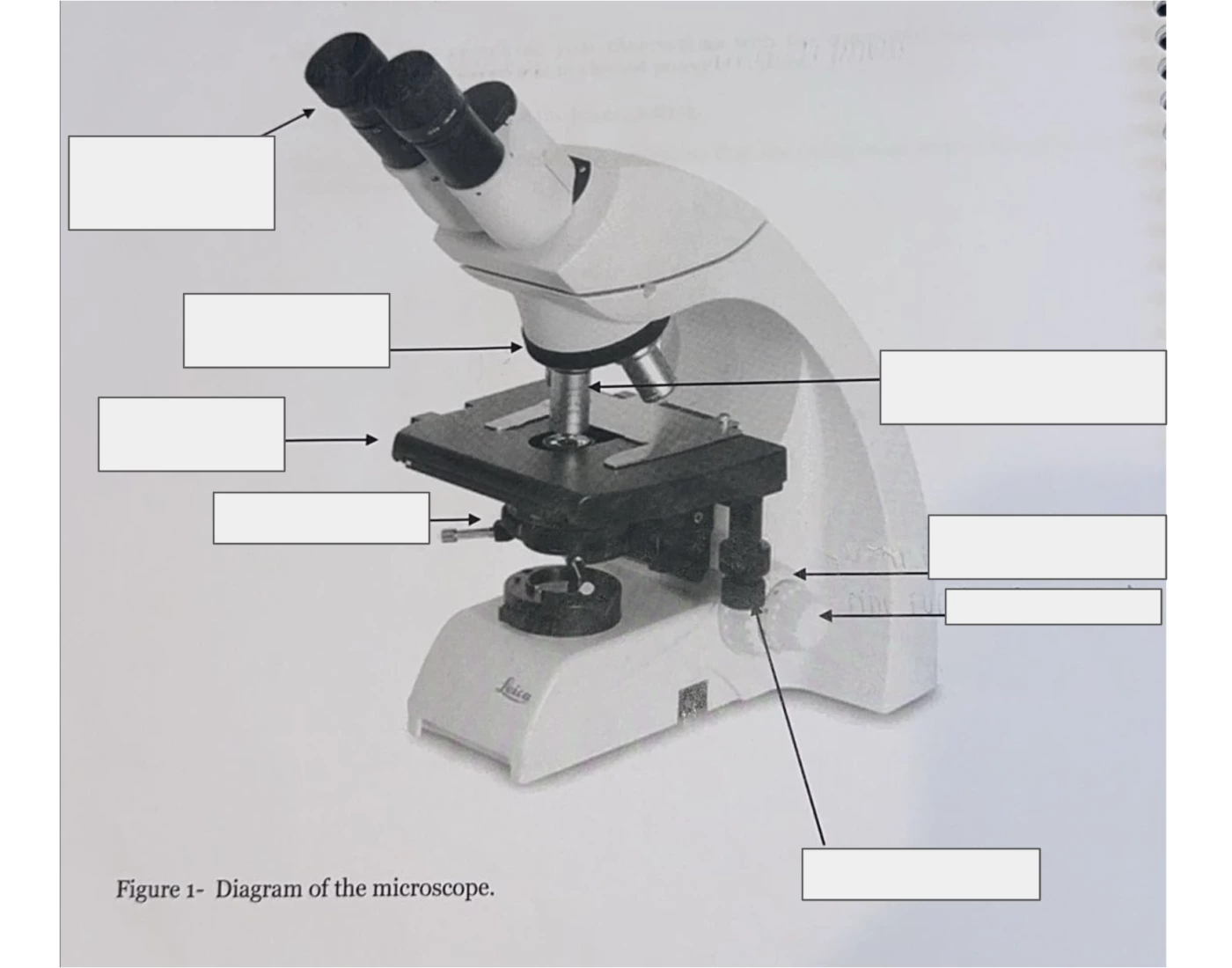 Lab #3 Microscope Quiz