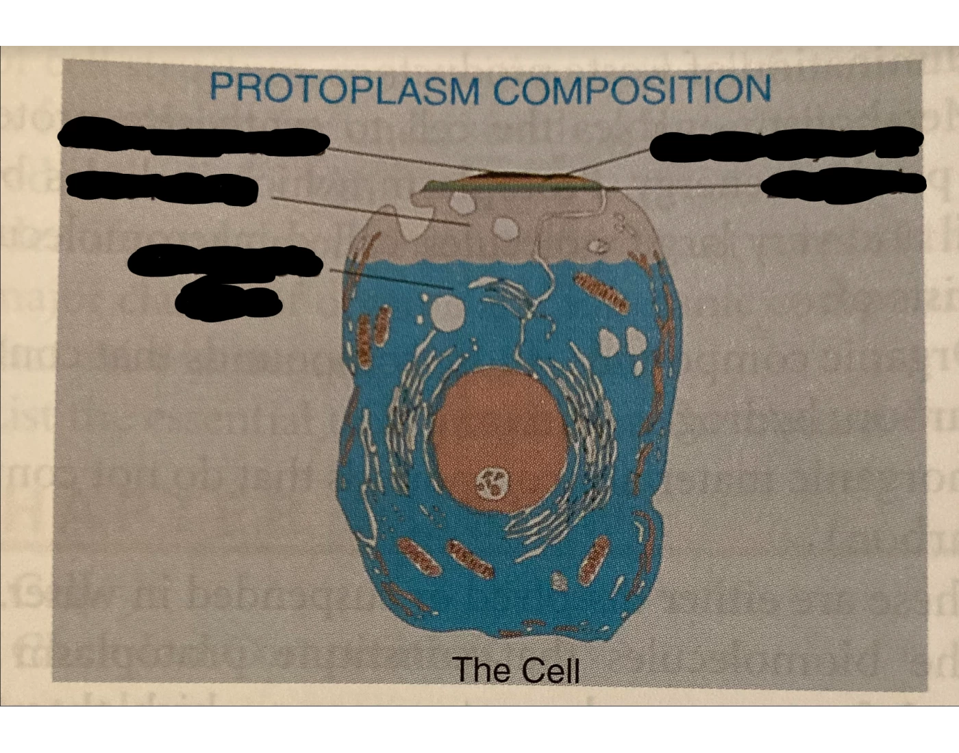 Protoplasm Protoplasm Quiz