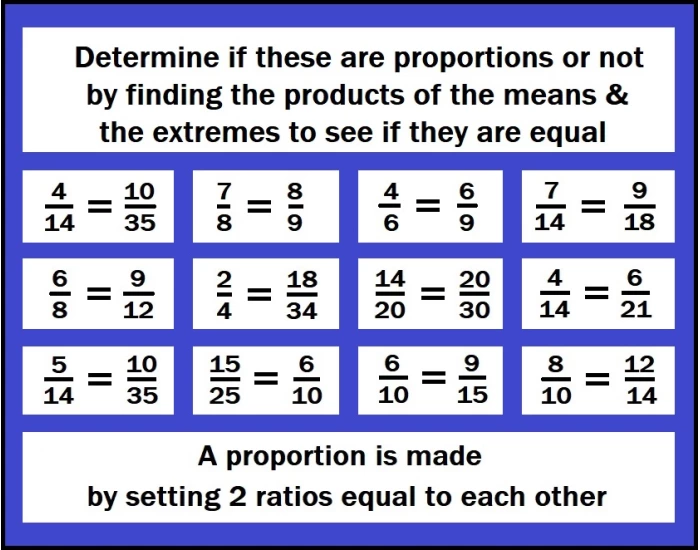 Proportions 2 Quiz