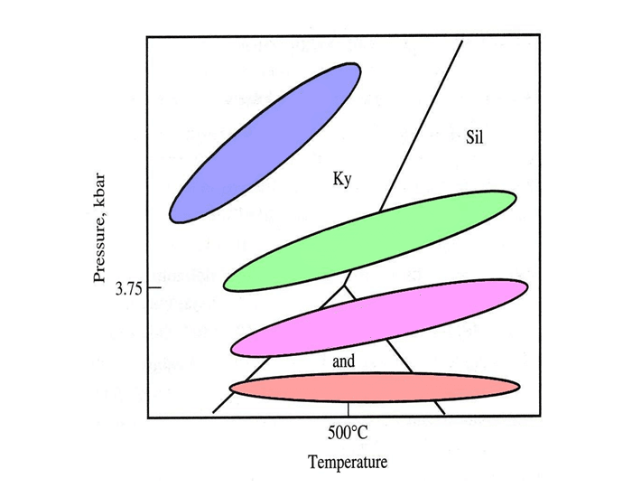 Metamorphic Series Quiz