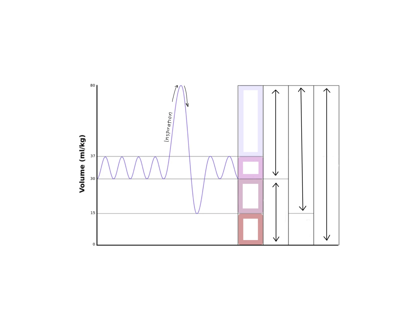 Spirogram.volume Quiz