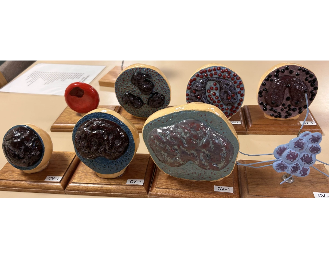 (lab 3) Blood Cells Quiz