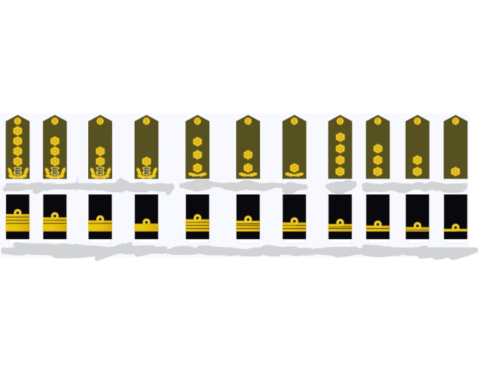 Letonia Army Ranks estonian military rank — Printable Worksheet