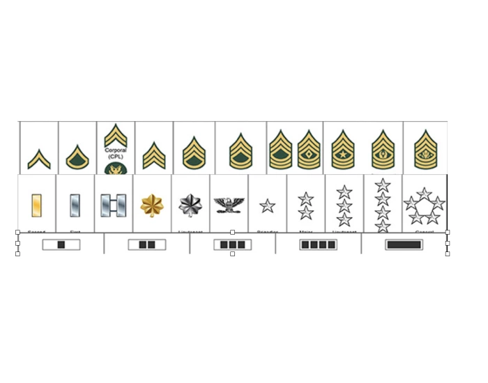 ranks and paygrade Quiz