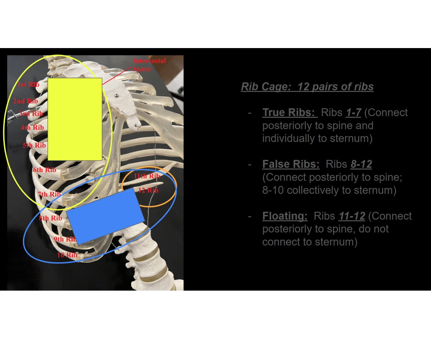 Video Game Ribs Ribs 2 Quiz