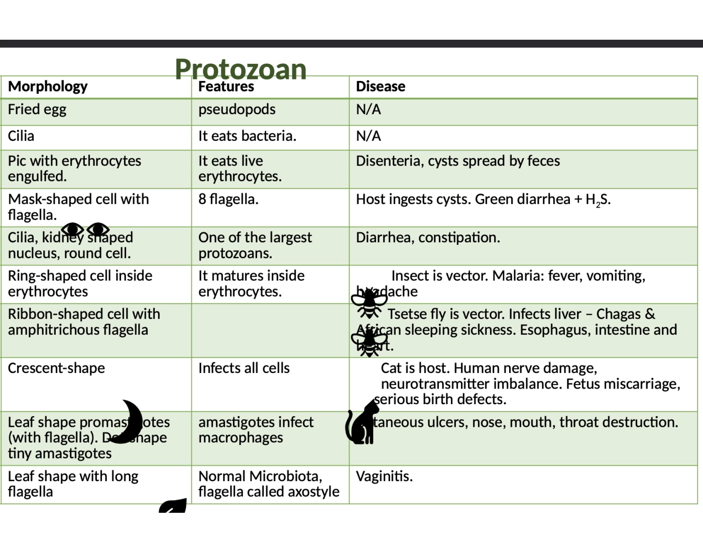 Protozoan Insecticide Protozoan Quiz