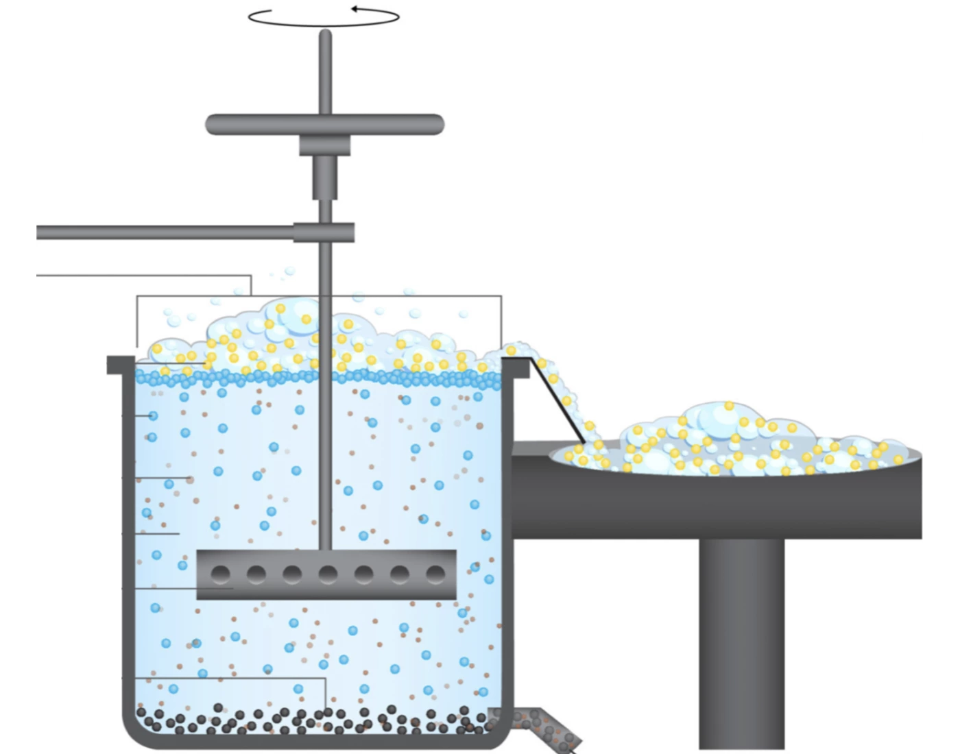 Flotation process labelling Quiz