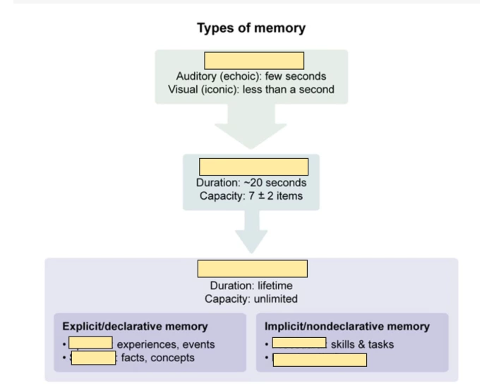 Memory Print Example Types of Memory — Printable Worksheet