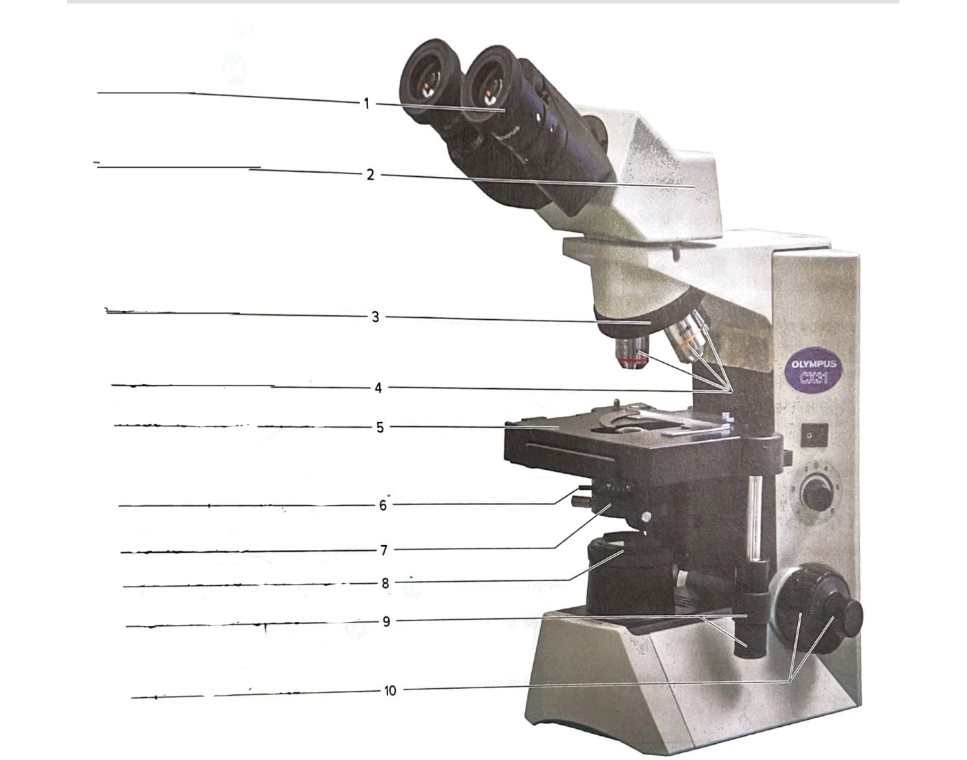 Compound light microscope labeling Quiz