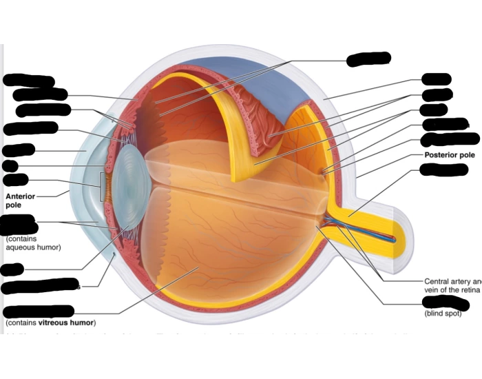 Wars Inner Eye Inner eye Quiz
