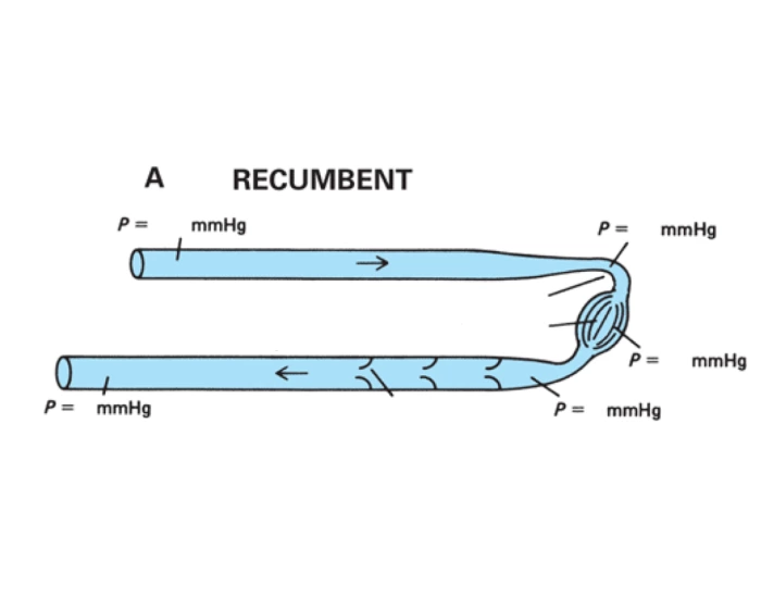 Pressures in the Recombant/Supine Position Quiz