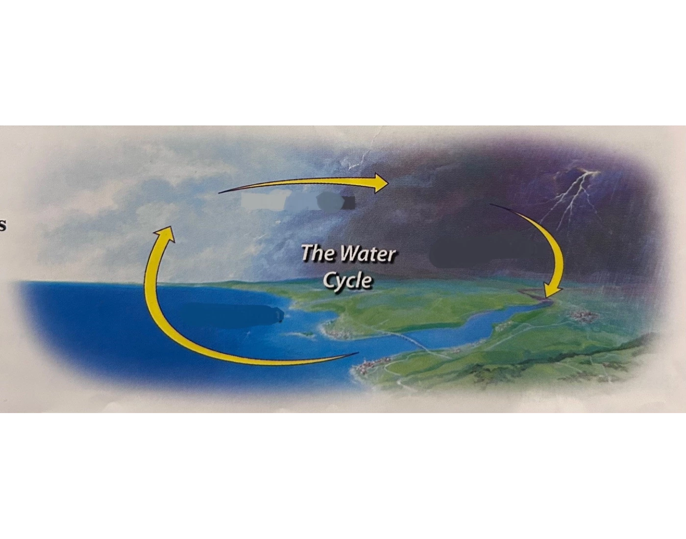 Abeka Grade 5 Water Cycle — Printable Worksheet